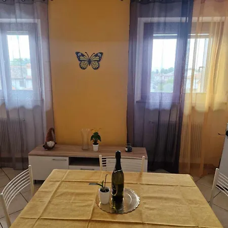 Sara In The Heart Of Sud *